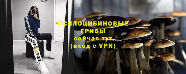 спиды Алексин