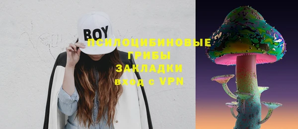 спиды Алексин