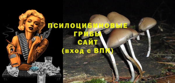 дурь Алексеевка