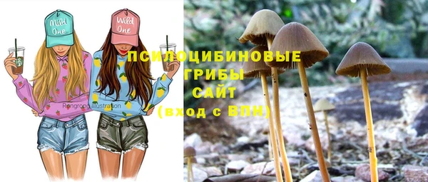 дурь Алексеевка