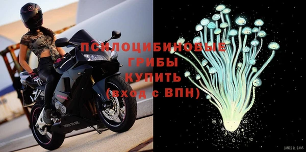 спиды Алексин