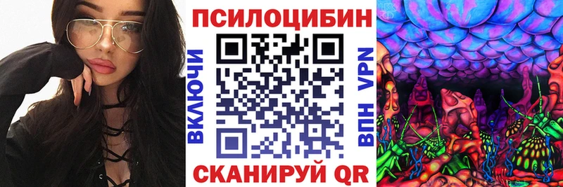 Псилоцибиновые грибы GOLDEN TEACHER Красноуфимск